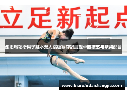 谢思埸领衔男子跳水双人跳板赛夺冠展现卓越技艺与默契配合
