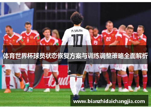 体育世界杯球员状态恢复方案与训练调整策略全面解析