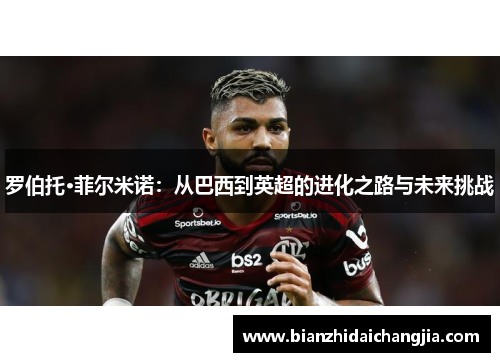 罗伯托·菲尔米诺:从巴西到英超的进化之路与未来挑战 罗伯托·菲尔米诺:从巴西到英超的进化之路与未来挑战