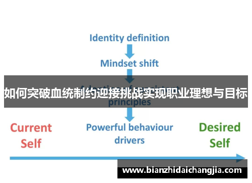 如何突破血统制约迎接挑战实现职业理想与目标