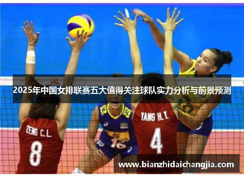 2025年中国女排联赛五大值得关注球队实力分析与前景预测