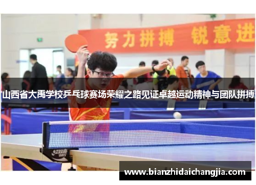 山西省大禹学校乒乓球赛场荣耀之路见证卓越运动精神与团队拼搏
