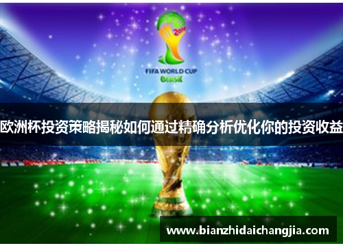 欧洲杯投资策略揭秘如何通过精确分析优化你的投资收益