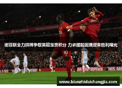 谢菲联全力拼搏争取英超宝贵积分 力求摆脱困境迎来胜利曙光 谢菲联全力拼搏争取英超宝贵积分 力求摆脱困境迎来胜利曙光
